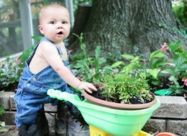 gardening