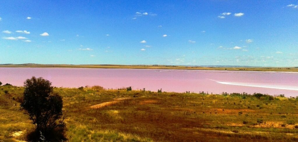 pink lakes