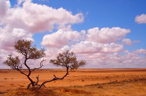 the simpson desert