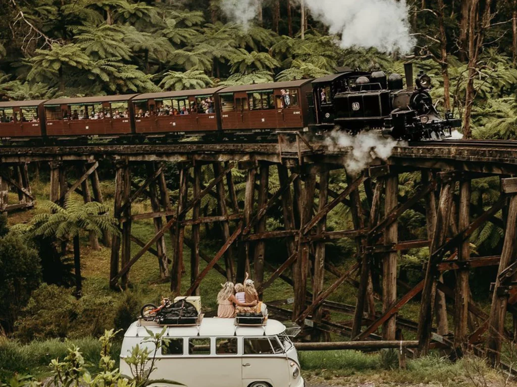 dr-rileys-travels-puffing-billy-railway-nature-attraction