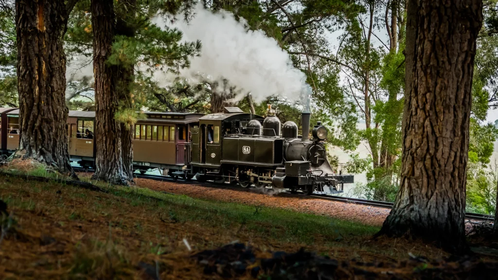 Yarra Valley - Puffing-Billy-3