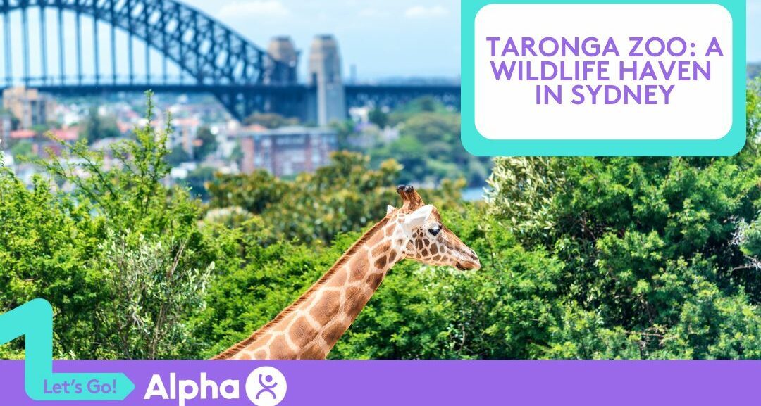 Taronga Zoo A Wildlife Haven in Sydney - blog