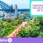 Taronga Zoo A Wildlife Haven in Sydney - blog