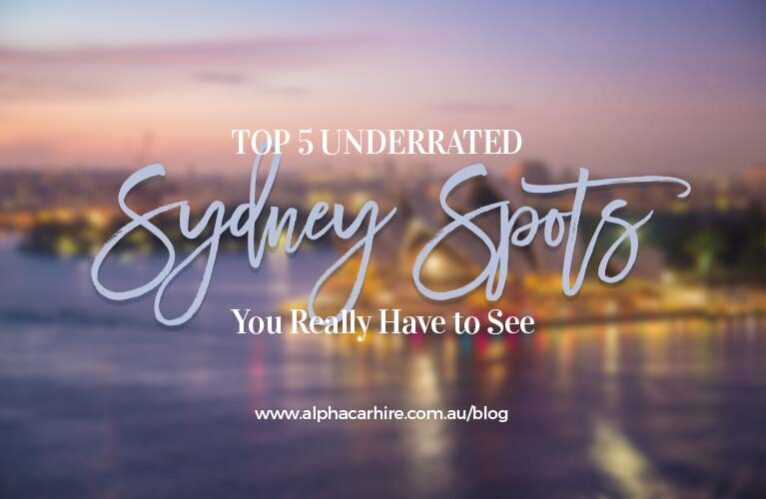 sydney spots