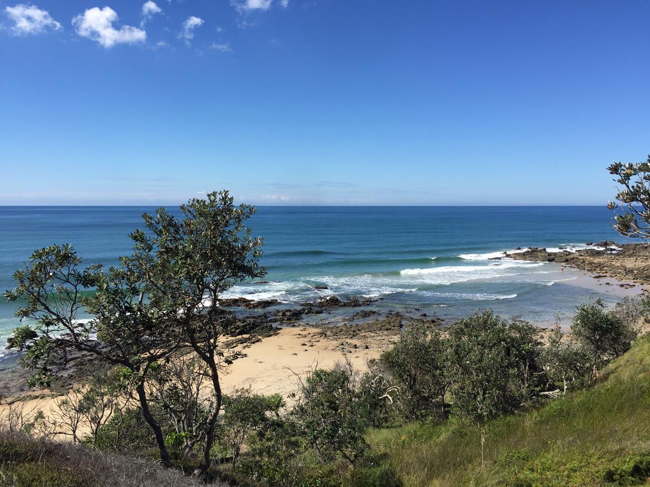 Point Arkwright Yaroomba bushland