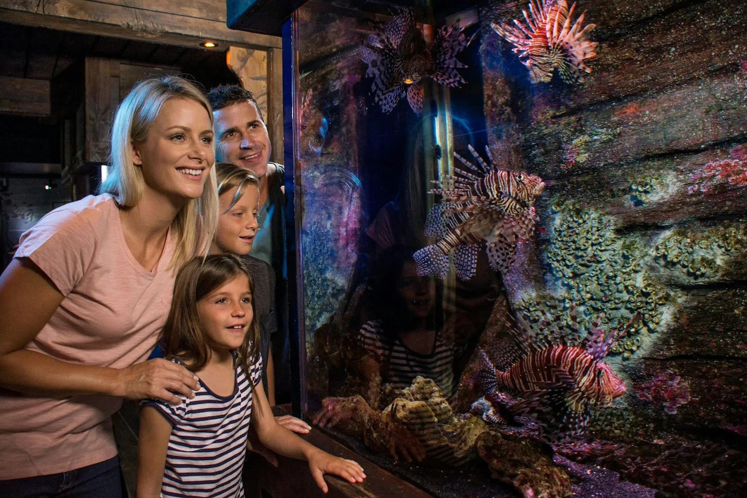 SEA LIFE Sunshine Coast