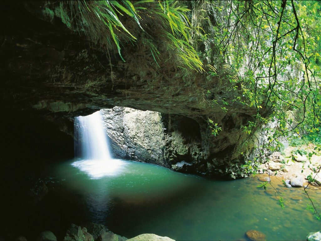 Springbrook Natural Bridge Walk - Gold Coast