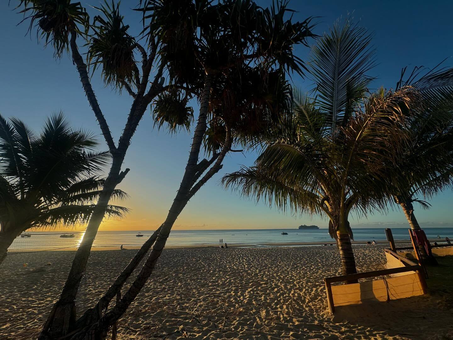 Tangalooma Beach Day Cruise