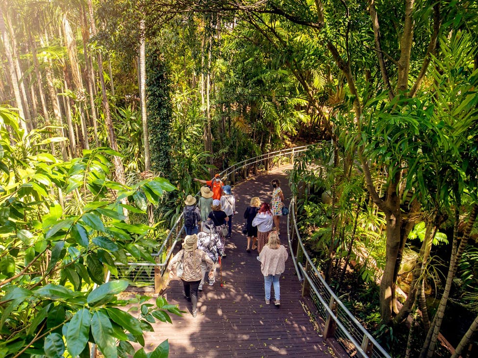 The Rainforest Roma Street Parkland