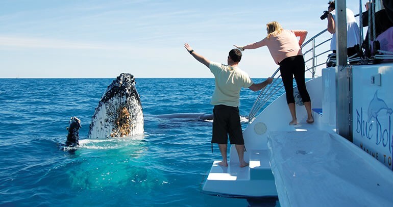 hervey bay queensland