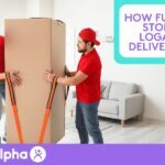 How Furniture Stores in Logan Use Delivery Vans - Blog Image